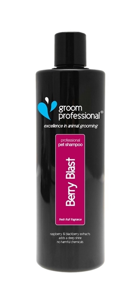 Picture of Groom Professional Berry Blast Shampoo